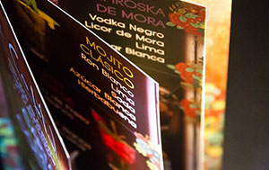 Servicio de Diseño Publicitario por MODO3