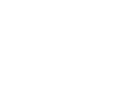 inicio-section-logo2